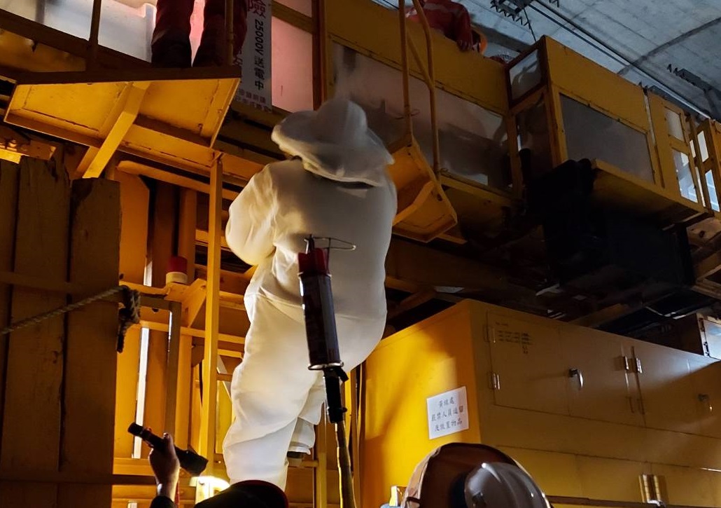 回歸專業!桃園1/1起由委外廠商捕蜂捉蛇 通報請撥1999