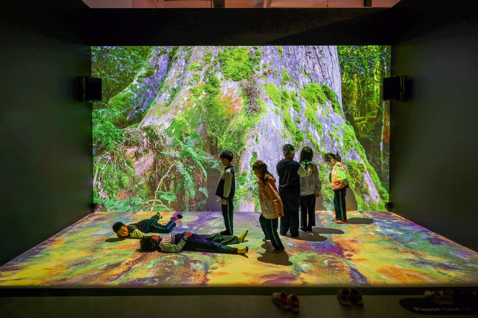 從大自然探索科學知識!仿生特展移師桃園12/26登場