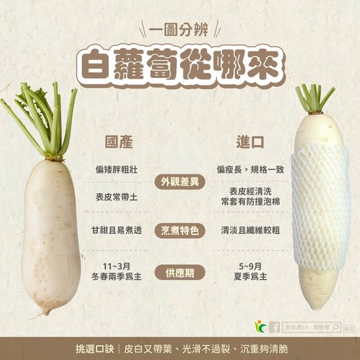 586591986 1161866252758670 7505221153526640232 n