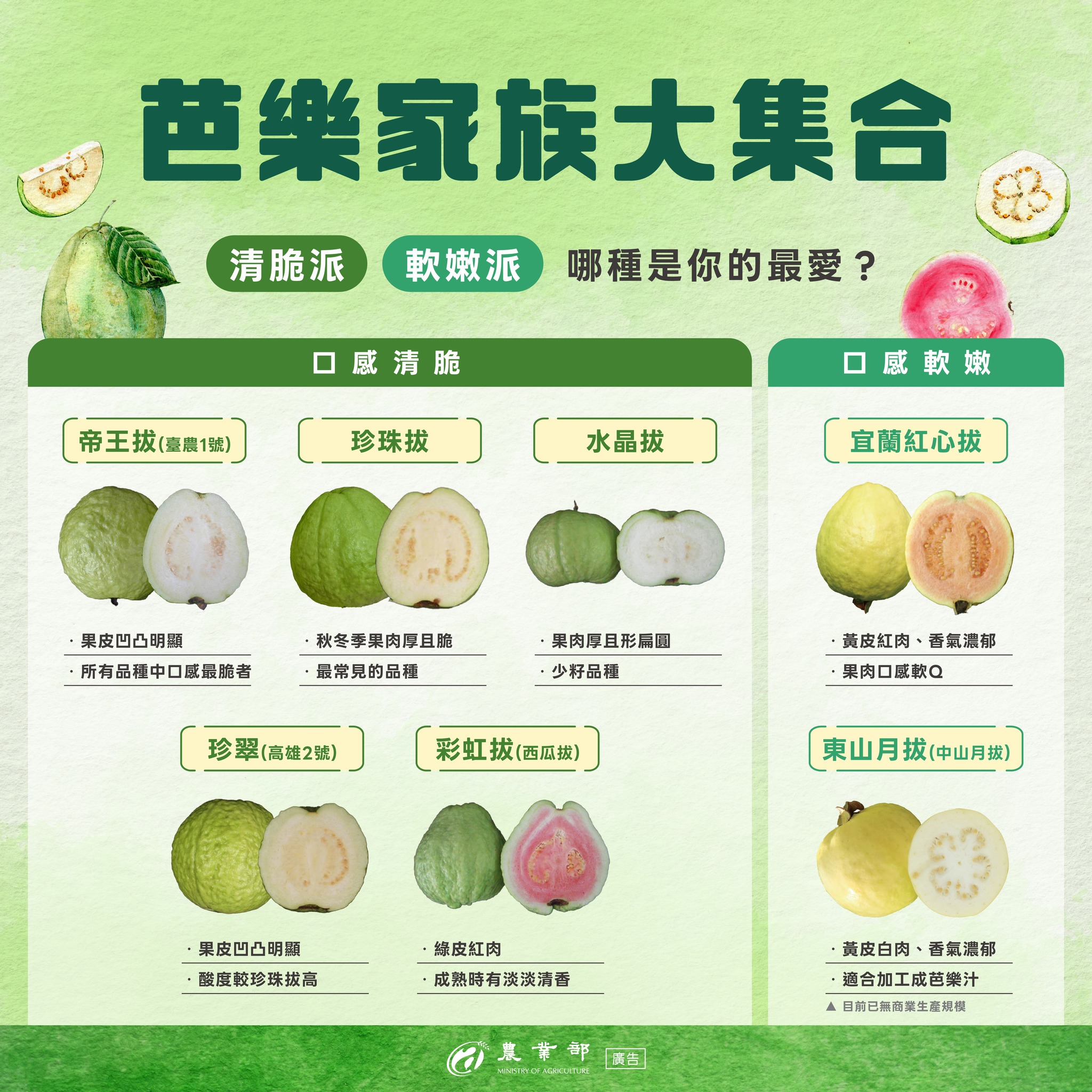 590570104 1270378295130914 6587820637336009377 n