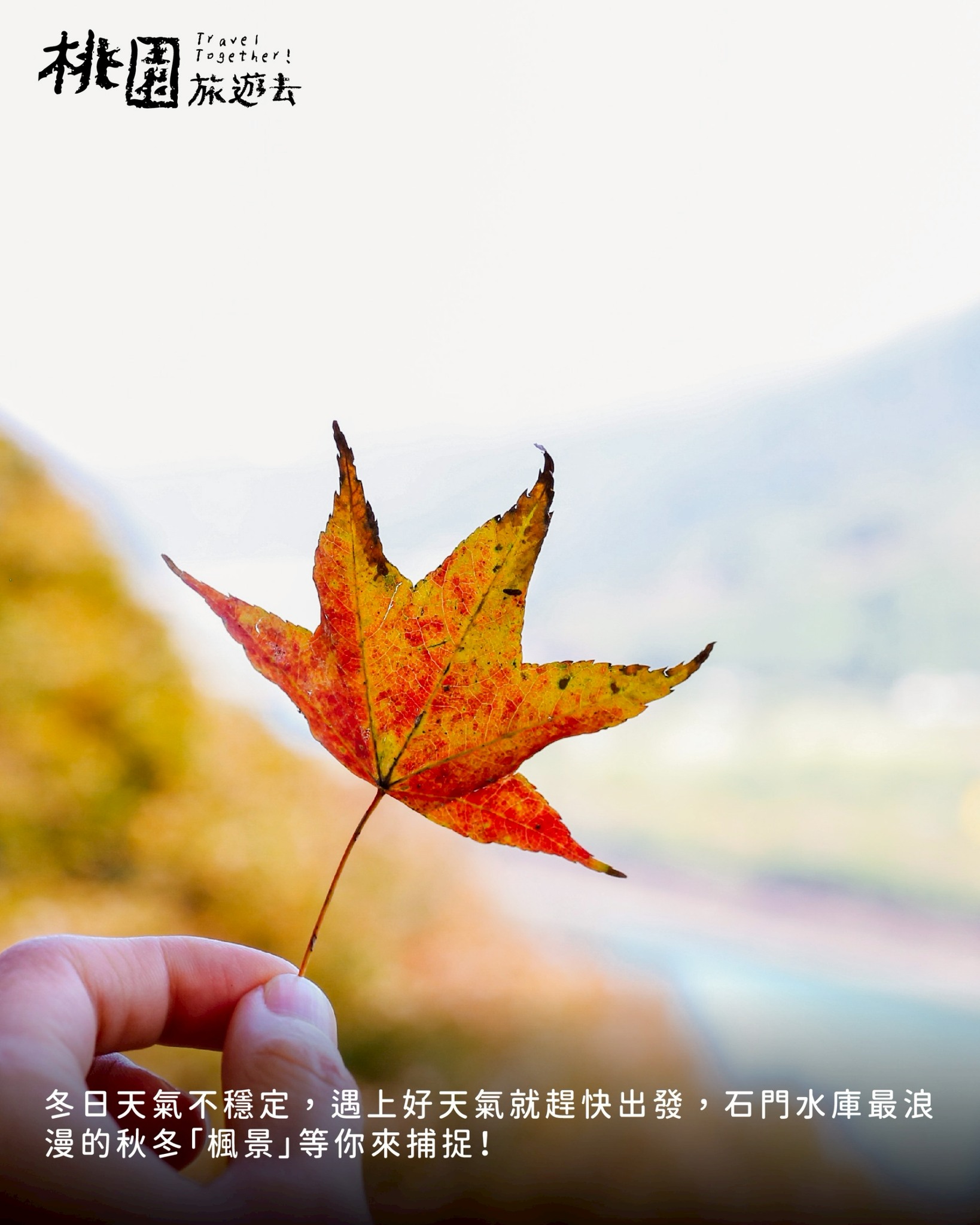 604847598 1166334805708603 8813412095593218442 n