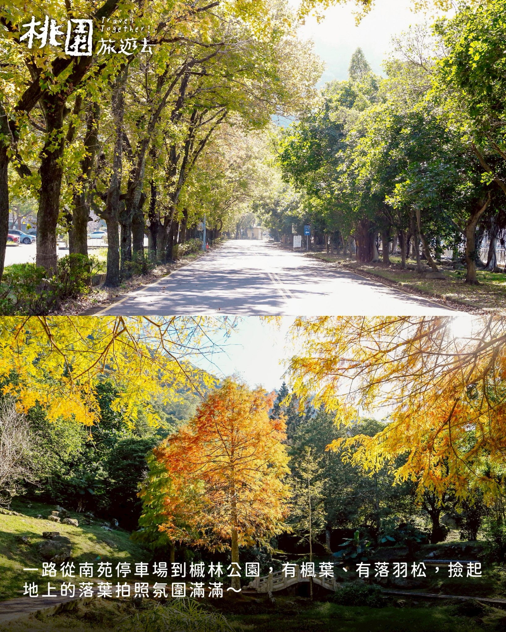 605213835 1166334865708597 1998020770565713338 n