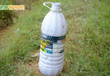 失智阿嬤誤飲農藥一度命危 連續性靜脈血液透析過濾術成功救回