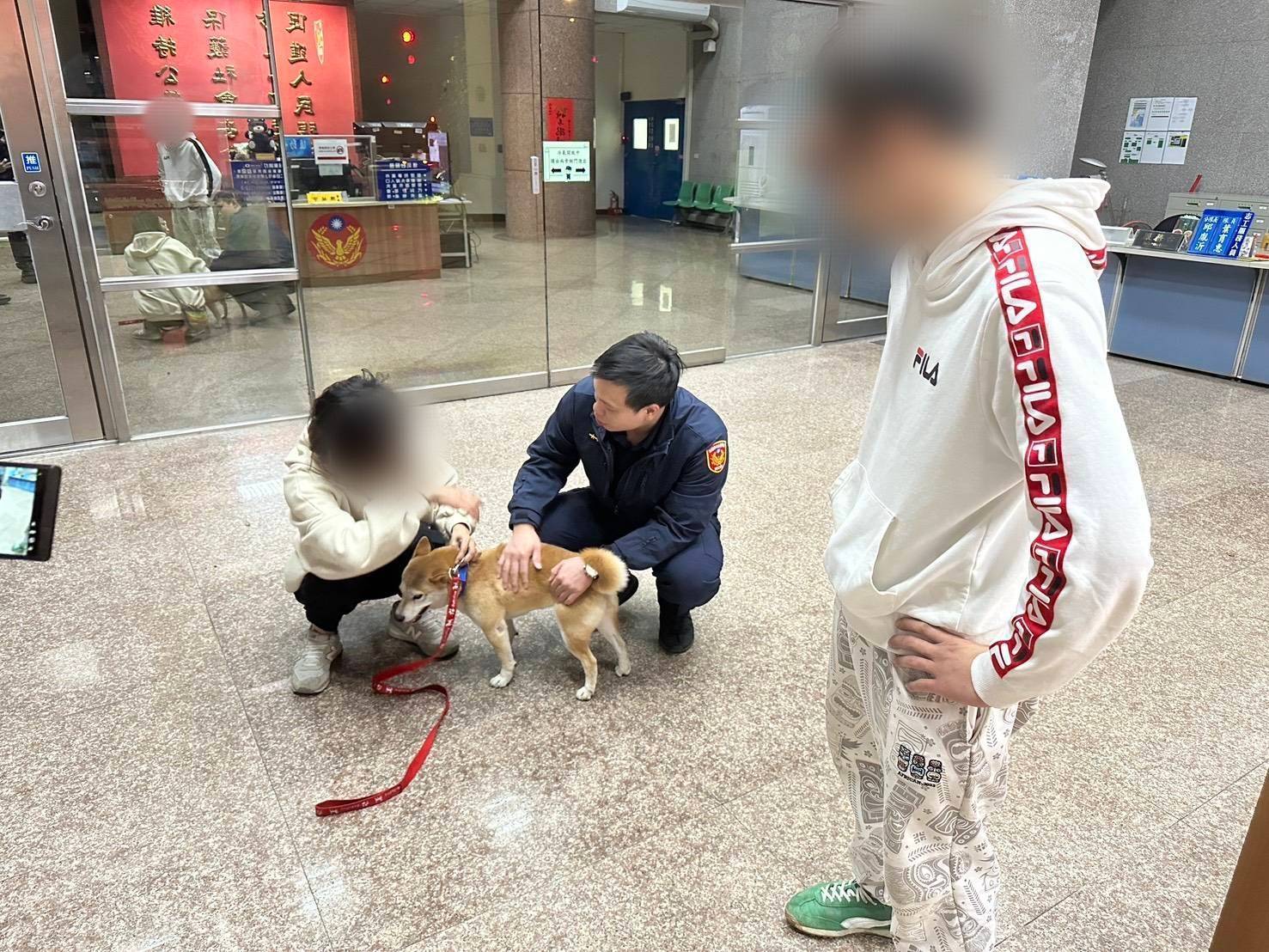 小柴犬深夜迷途闖派出所 暖警陪伴照顧等飼主找回 904470 0