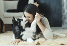 浪浪狗緣:給每一隻浪浪一個重生的機會