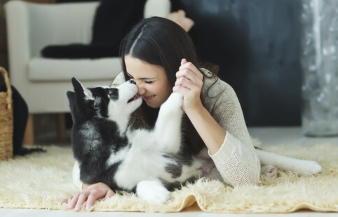 92C85BDA 02CD 46DC 9B78 AE9D60B56058