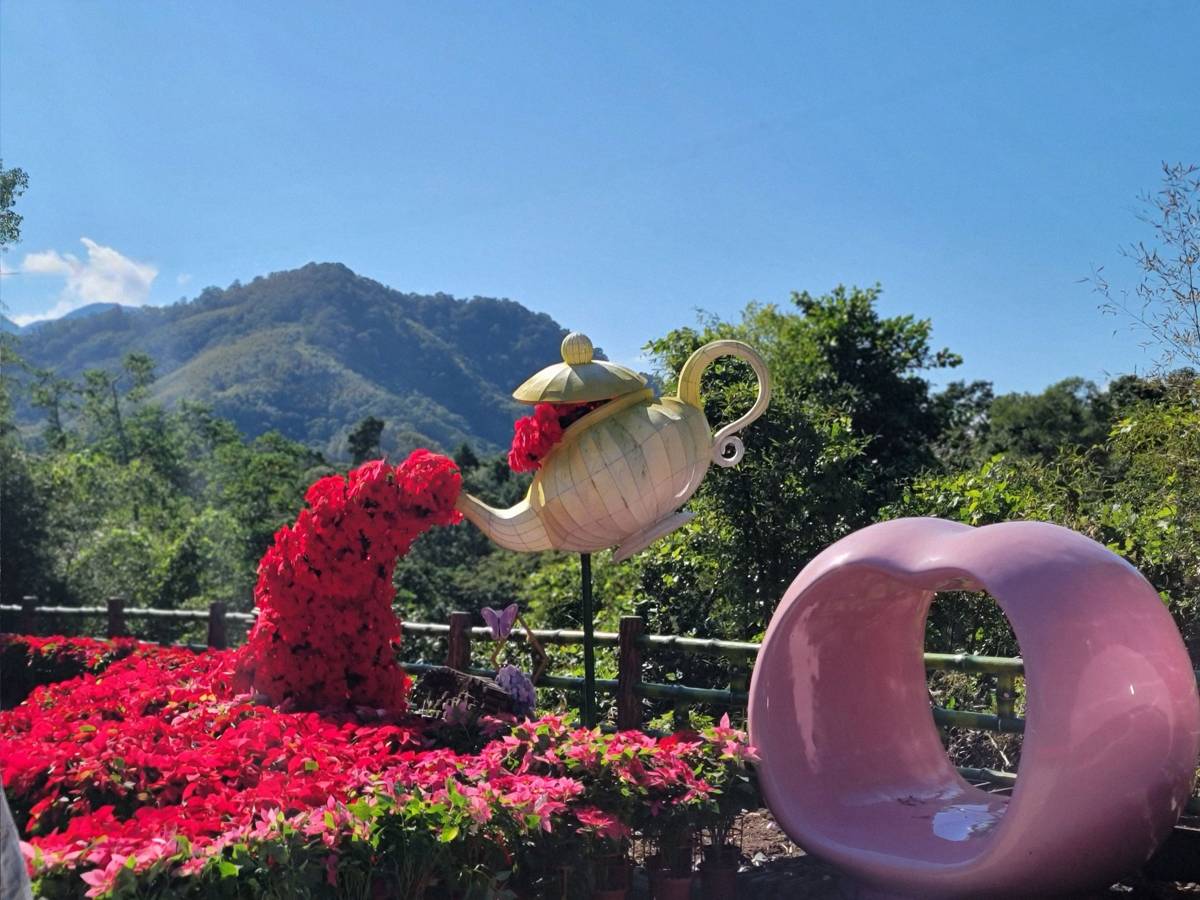 復興「紅花綠橘購樂趣」登場 農遊體驗帶來冬日節慶亮點 967654 0