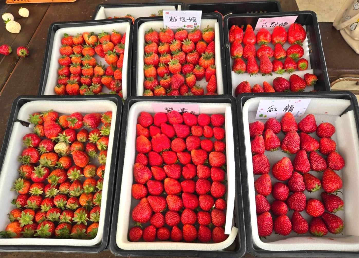 名額有限!桃園草莓食農聖誕市集「甜點手作體驗」今中午開放報名 974954 0