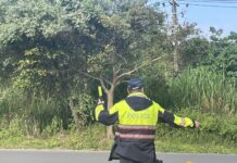 桃園石門水庫楓半馬12/7盛大舉行 交通管制細節一次看