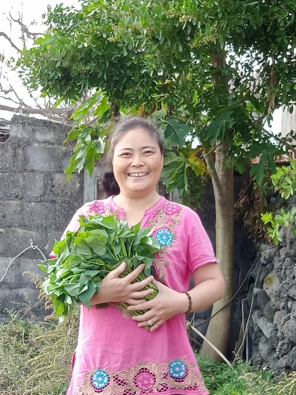 標題:吹向澎湖的一封信 一場始於地瓜葉的善意 S 3973180