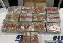 寄「市值逾2億元海洛因磚」來台 跨境運毒集團被逮