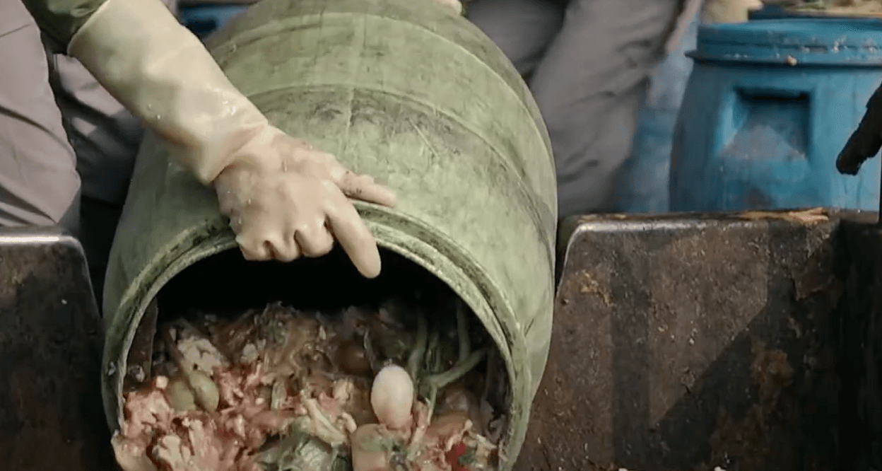 飼料槽驚見塑膠袋 台中豬農偷餵21頭豬吃廚餘遭重罰400萬