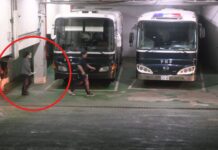 徐巧芯大姑夫婦涉詐「百萬交保」 限制住居、戴腳鐐最快8日辦保