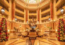 中國男持20公分刀闖東京迪士尼飯店 疑職場糾紛隔日落網