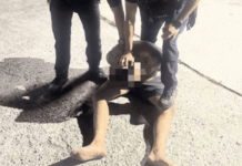 毒蟲持槍闖泳池瞄準學童再砸車!遭起訴才曝光 台中警挨轟蓋牌