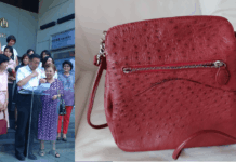 平均年報稅700萬撇財力不符 陳佩琪自曝「鱷魚紋愛包」價格