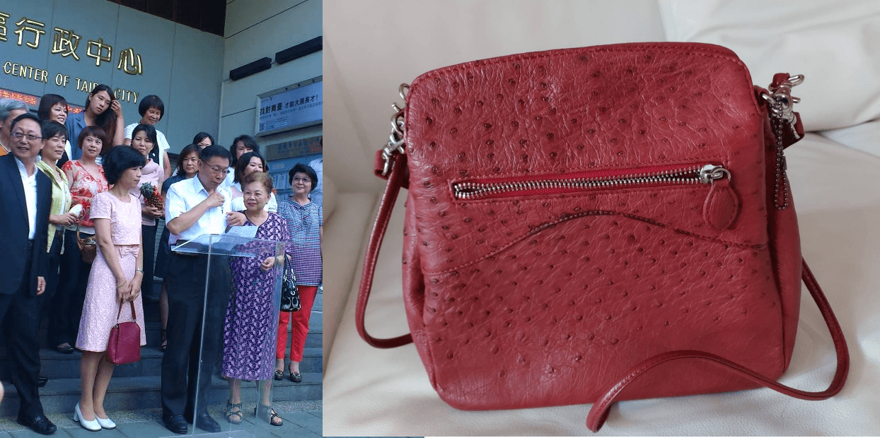 平均年報稅700萬撇財力不符 陳佩琪自曝「鱷魚紋愛包」價格