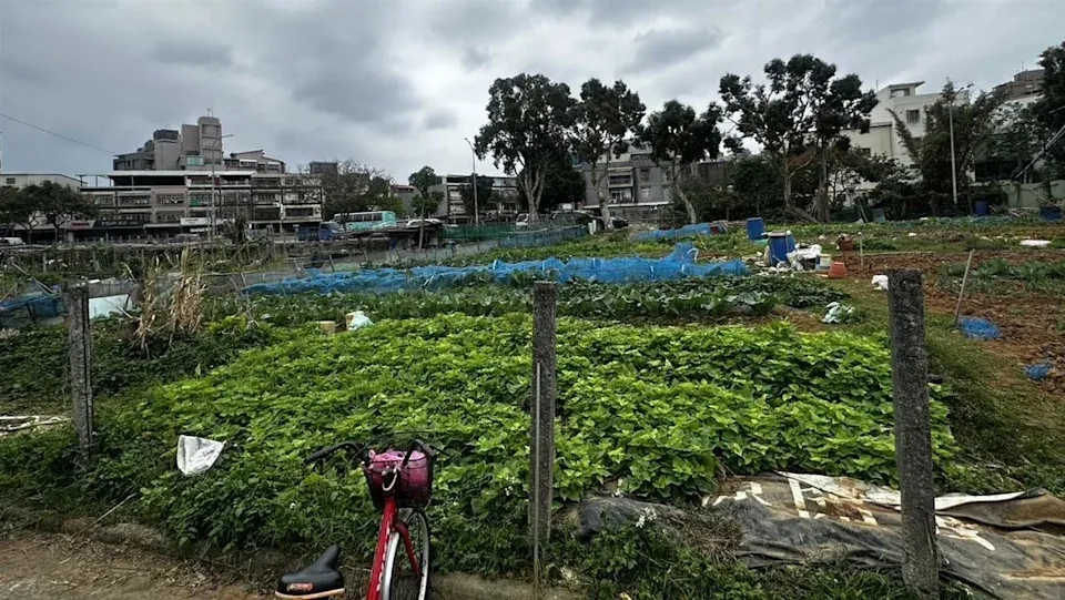 新北林口驚傳砍人!78歲翁菜園遭攻擊 「身中5刀」急送醫