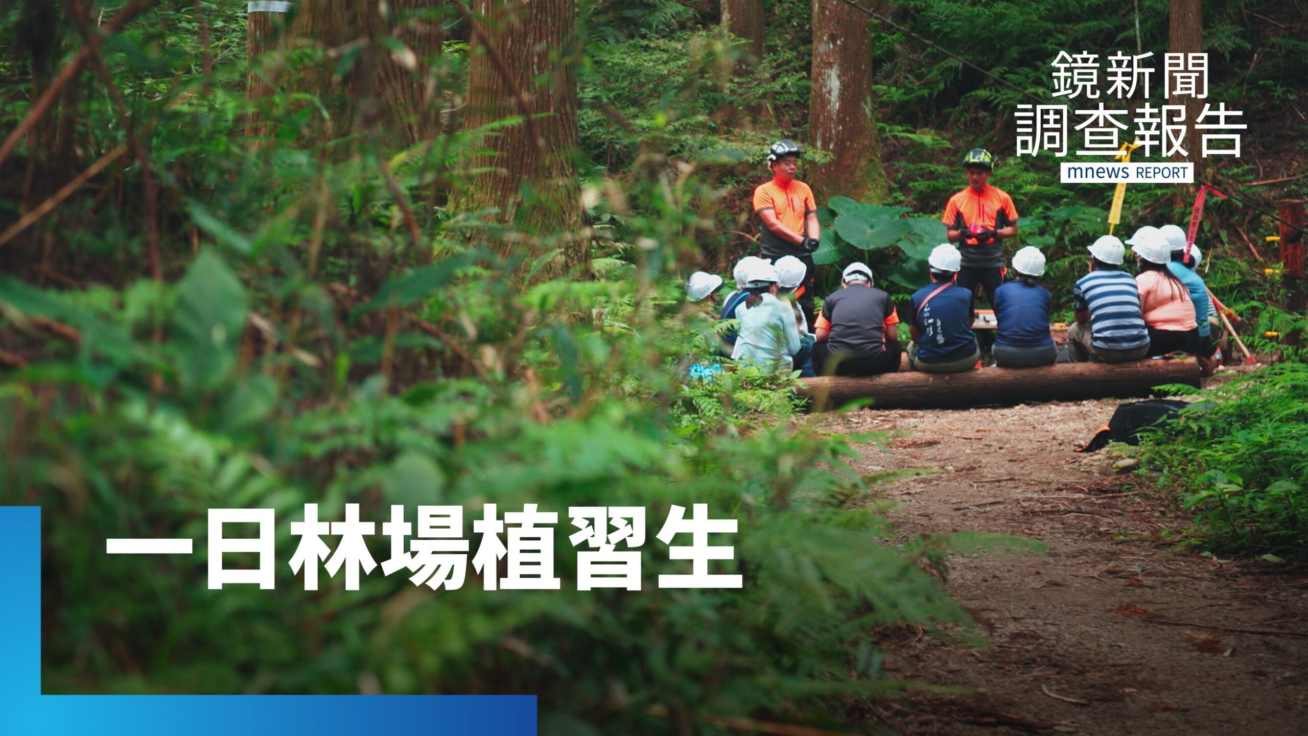 跟著林場達人 一日伐木運材 森林管理跟你想的不一樣|開門見山 走進真相