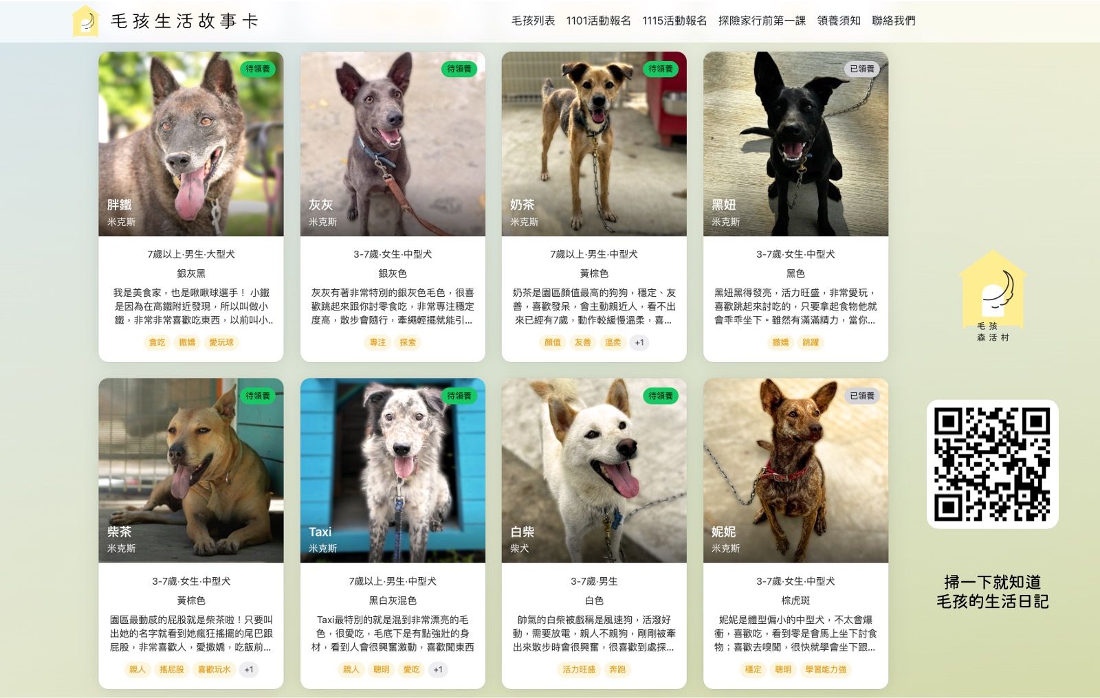 浪浪送養數位轉型 「毛孩森活探索隊」打破公立收容所悲情形象