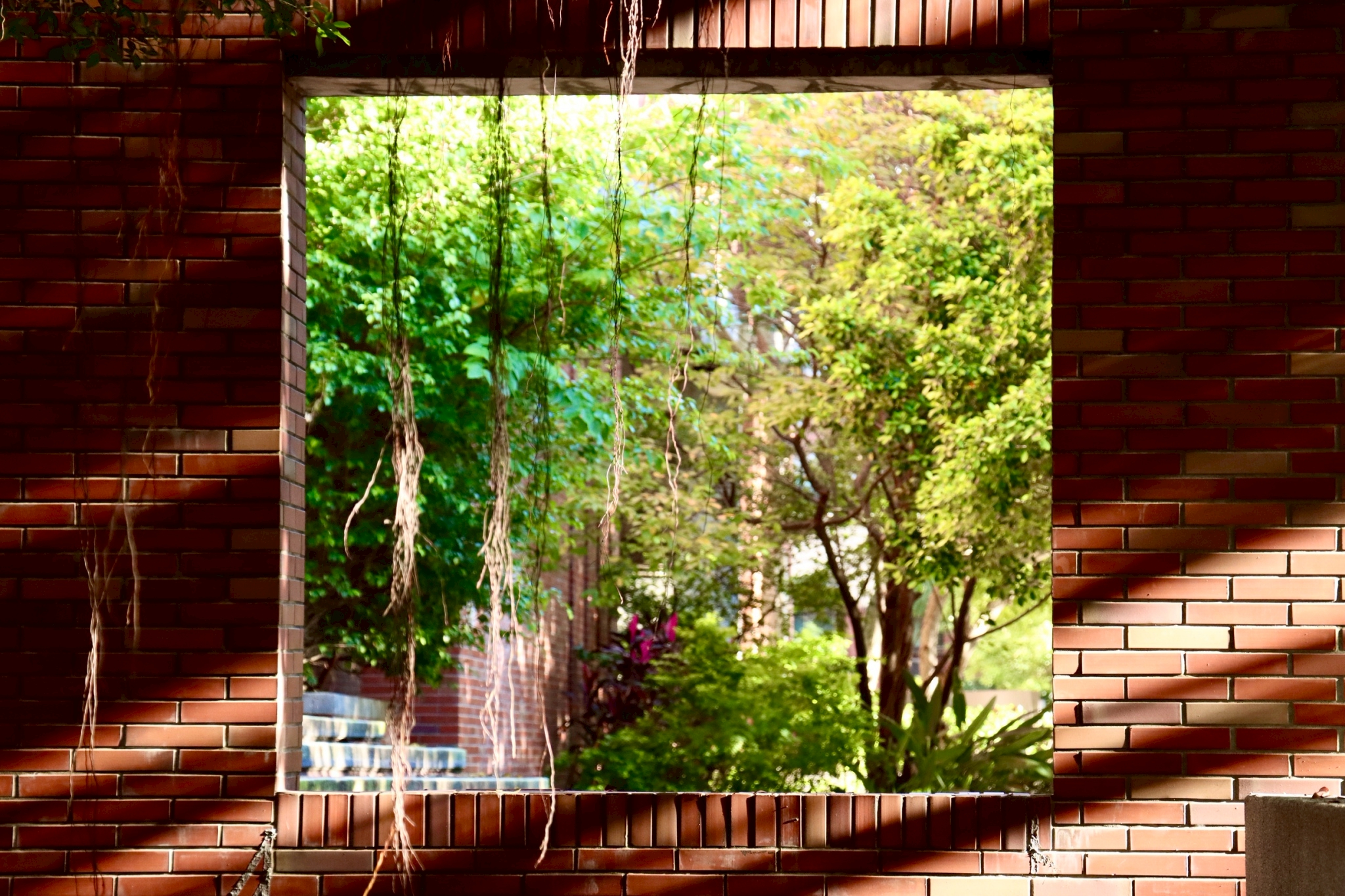 「發現開南之美」影像競賽吸引破百創作者參賽 得獎名單揭曉 佳作 0