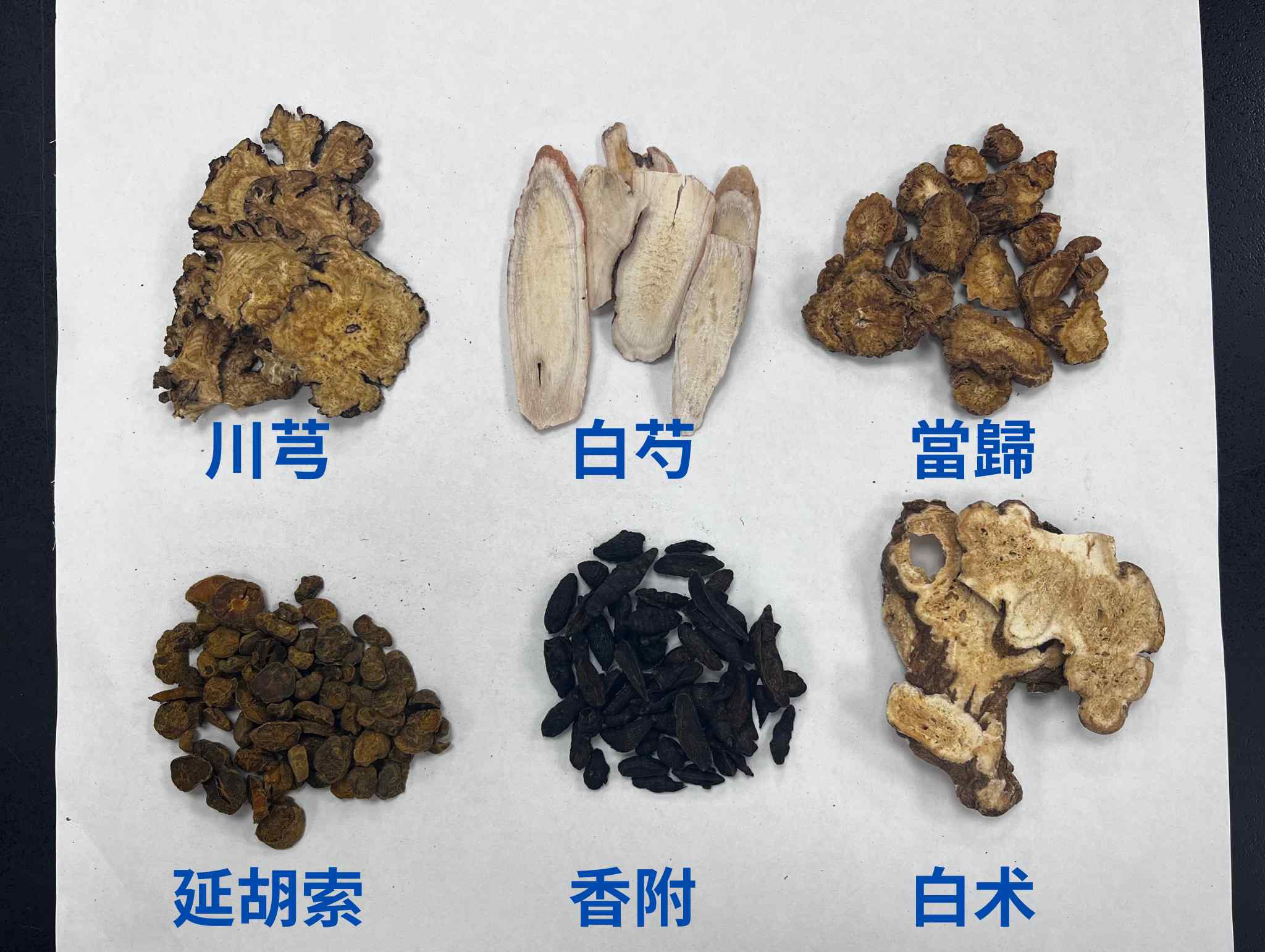 圖三 中醫緩解痛經與經前症候群常會運用中藥調理，如川芎、白芍、當歸、延胡索、香附、白术等 含字版