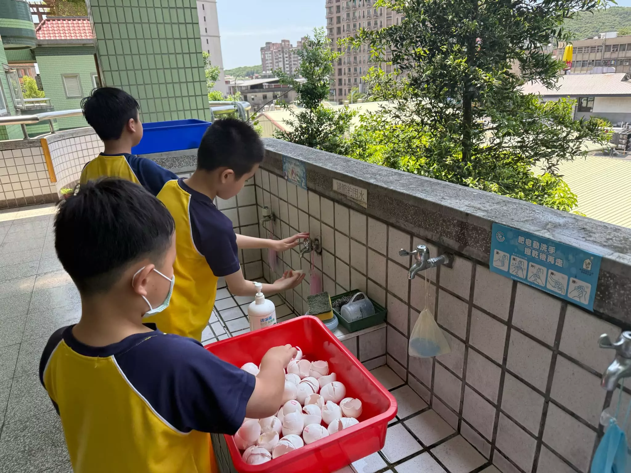 龜山自強國小推動蛋殼再利用 師生製作肥料為植物「加菜」 自強國小02 清洗雞蛋殼 0 0