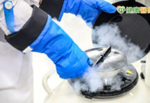 愈來愈多女性選擇凍卵!醫師解析凍卵關鍵與最佳時機