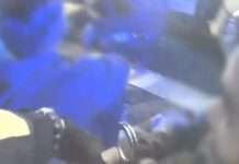 整車全失聯移工!八德警攔查揪出1人竟還身背通緝