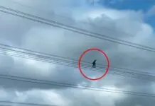 桃園也有霍諾德?國1中壢段驚見維修人員「走鋼索」網直呼:太偉大 桃園也有霍諾德?國1中壢段驚見維修人員「走鋼索」網直呼:太偉大