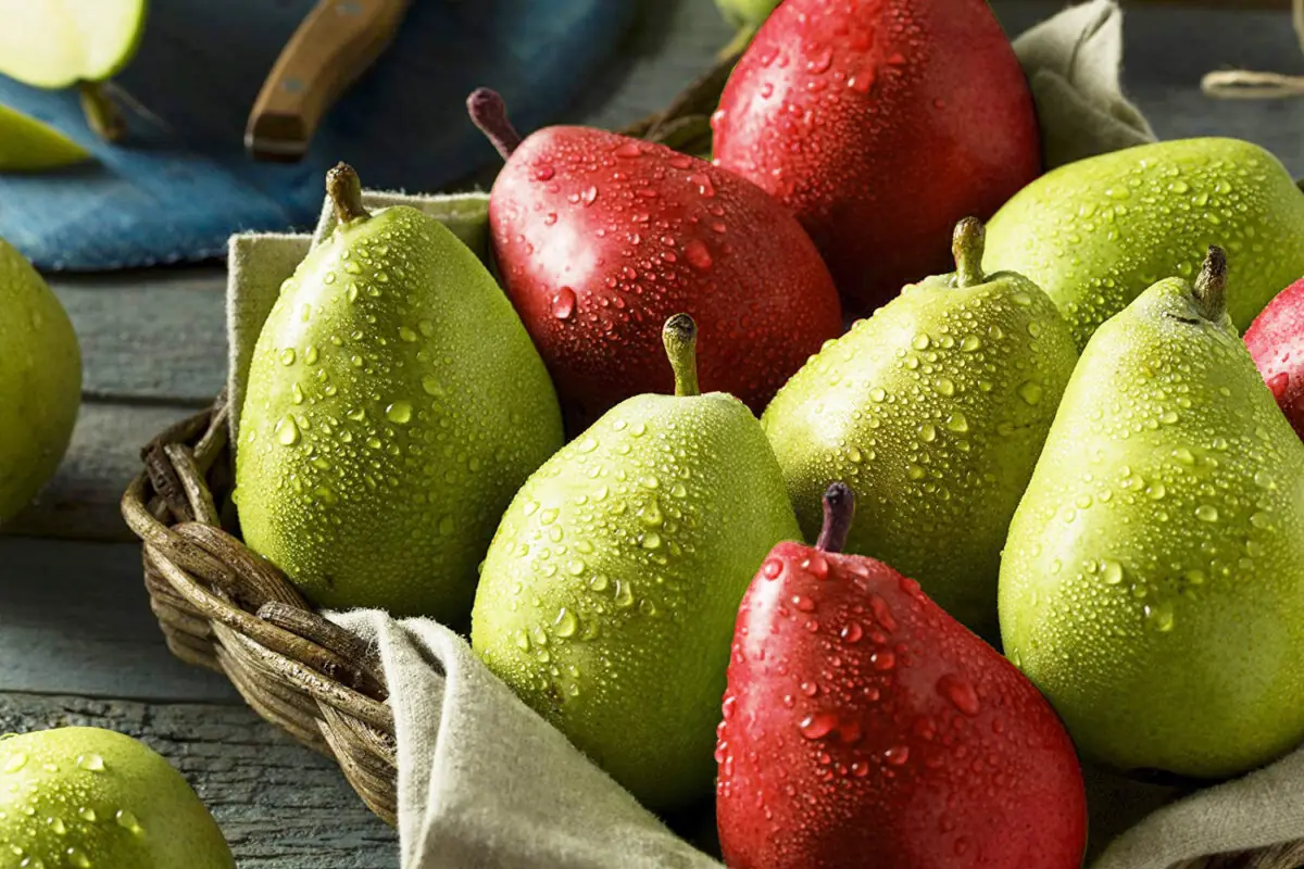 353345