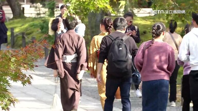 贏鳳梨酥、乖乖!網送日本朋友1零食獲大讚