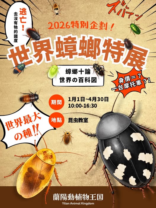 慎入!親子農場辦「世界蟑螂特展」 網崩潰:有反社會人格嗎? 606187670 17932702815149621 507646781562839169 n