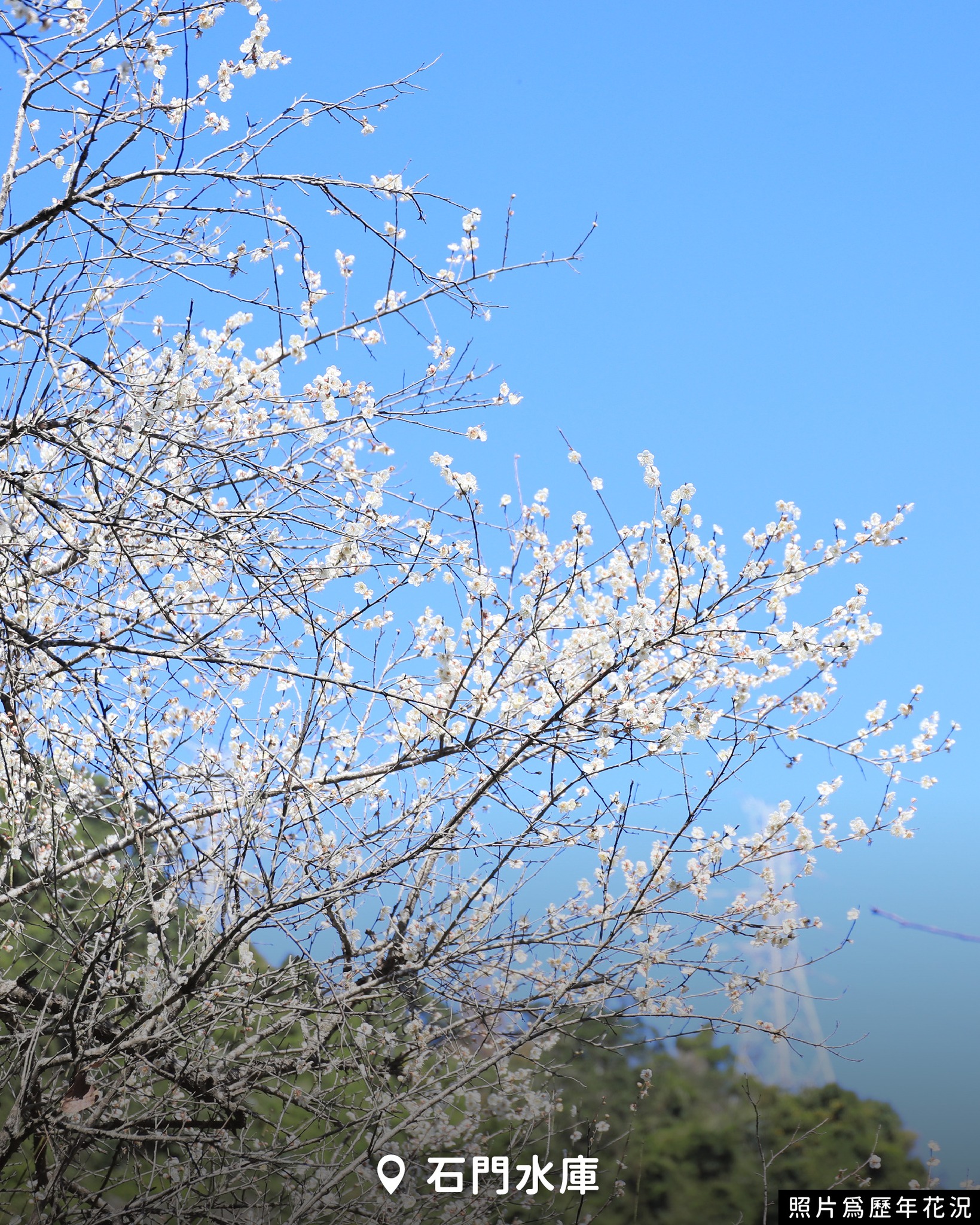 608421255 1173286958346721 5257446684136562711 n