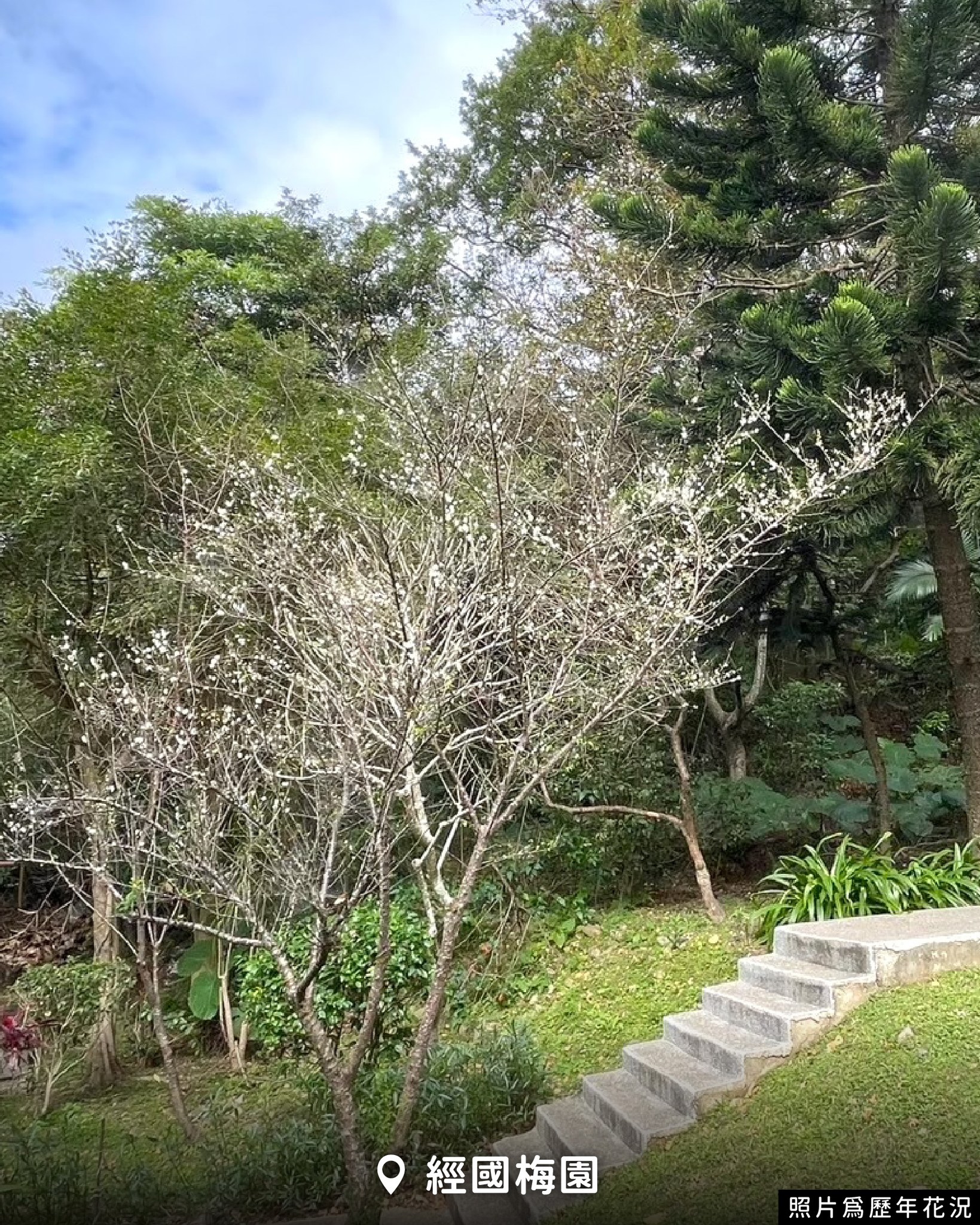 611167075 1173286971680053 1289595621318132459 n