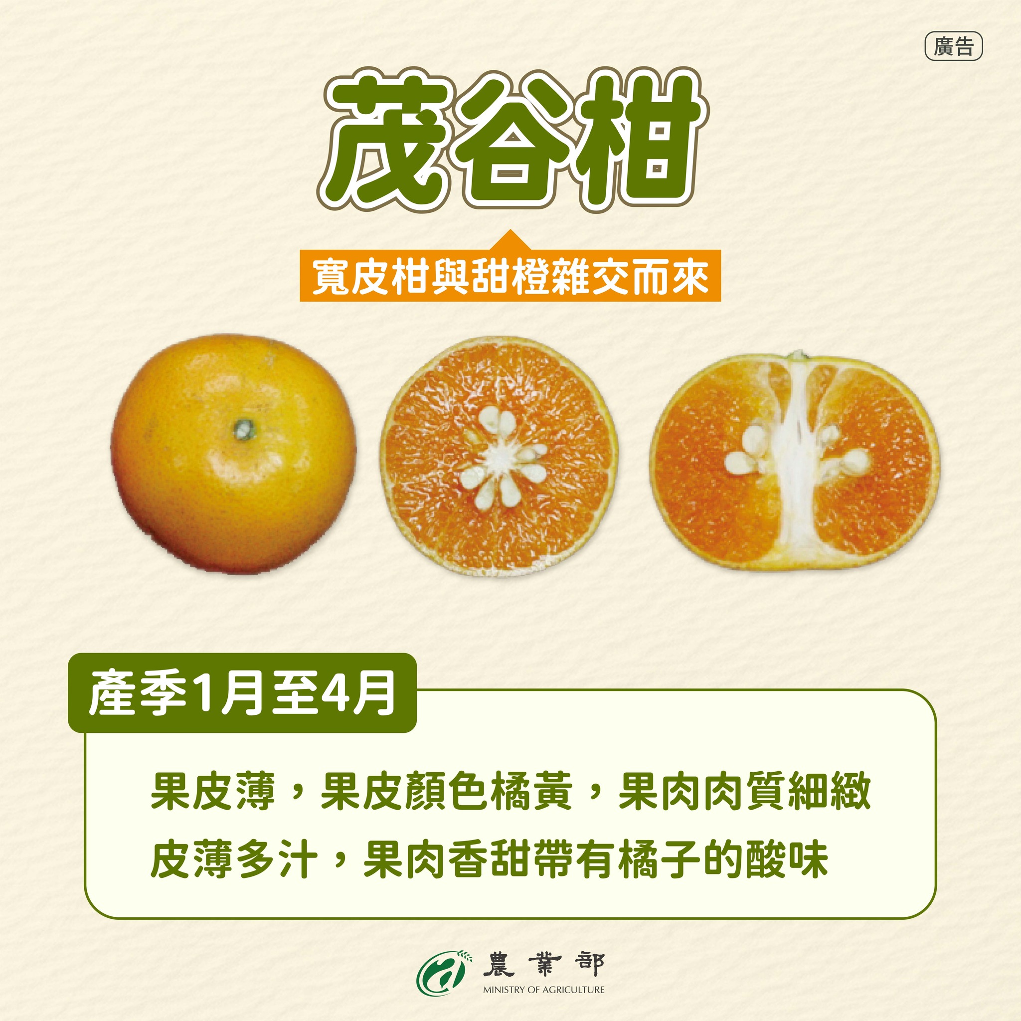 611254178 1299582422210501 3540592856199676713 n