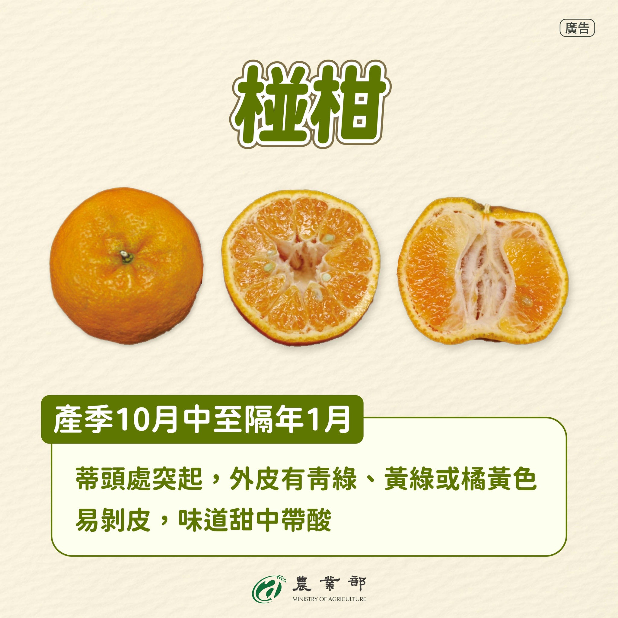 611687103 1299582402210503 2337195872206905782 n