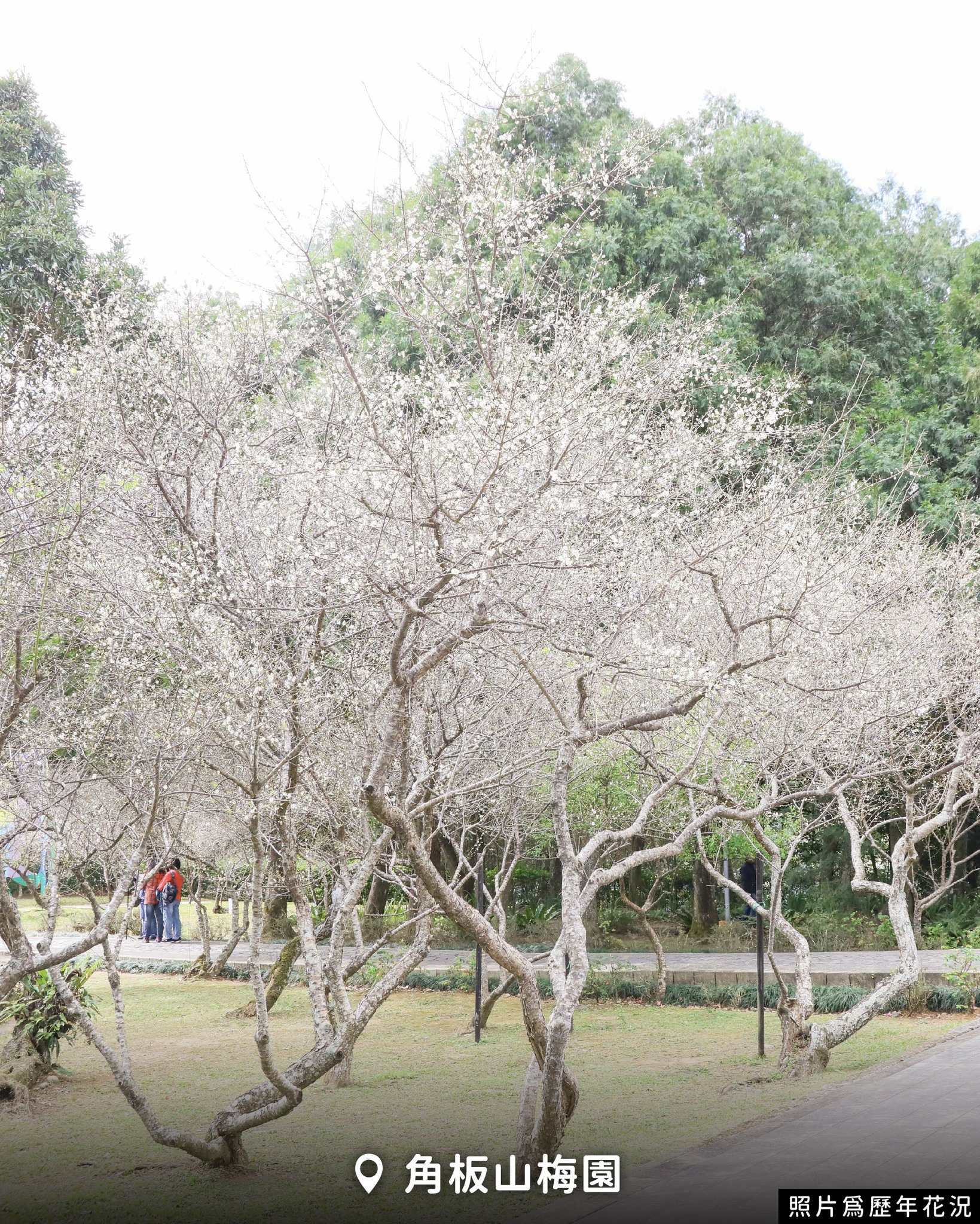 611749619 1173286975013386 5425992742373493151 n