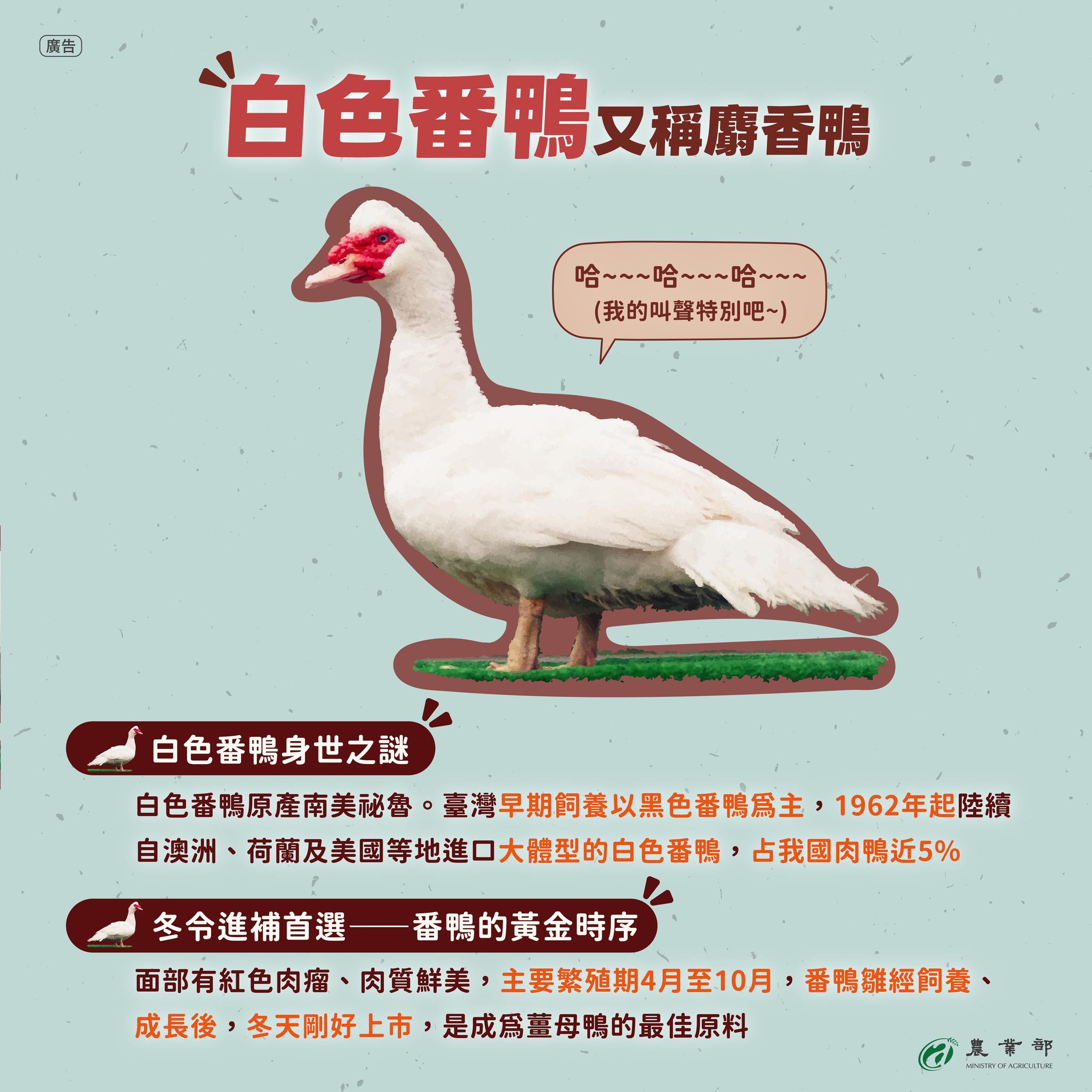 616225435 1310514831117260 378724321380791937 n