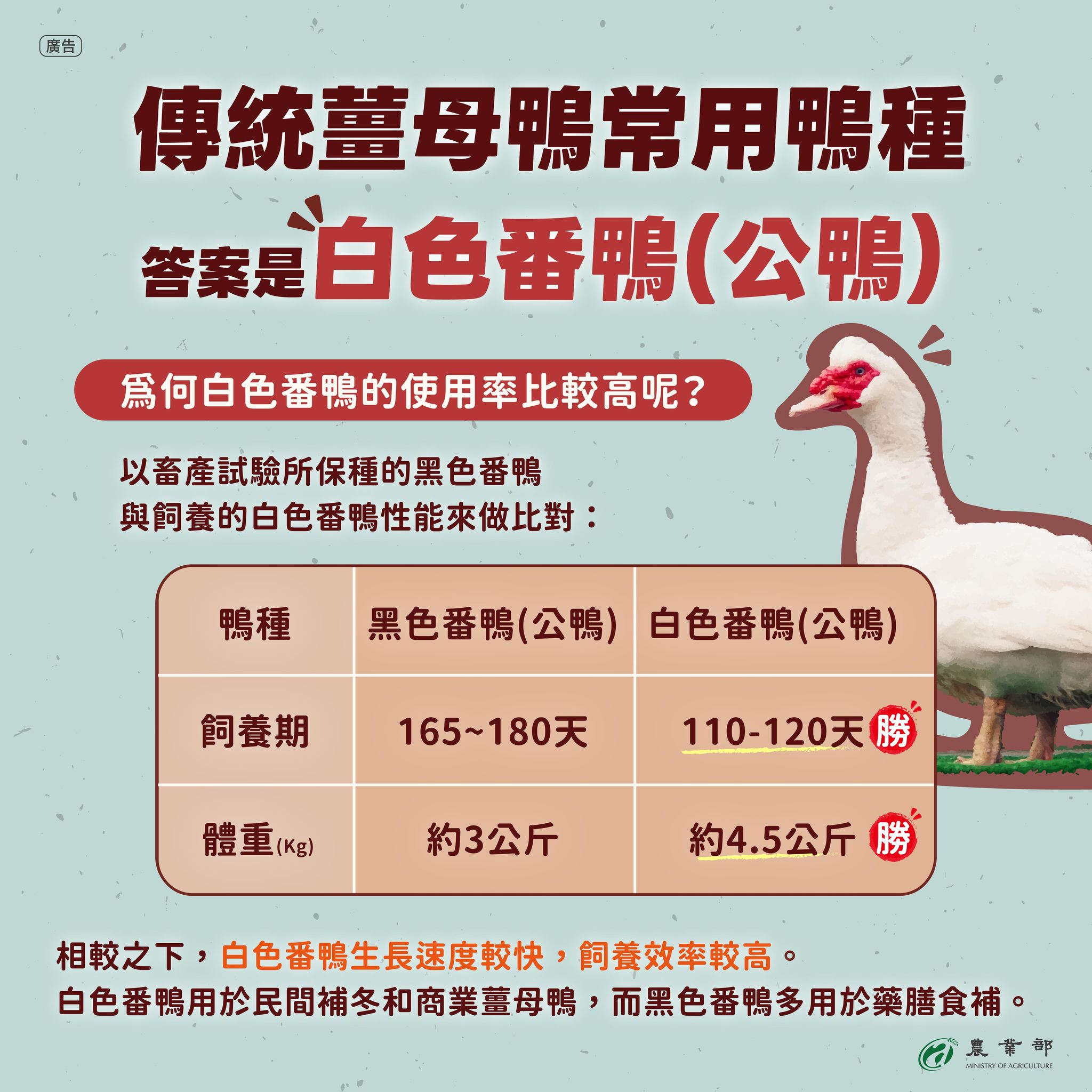 616328252 1310514841117259 1298949844250933691 n