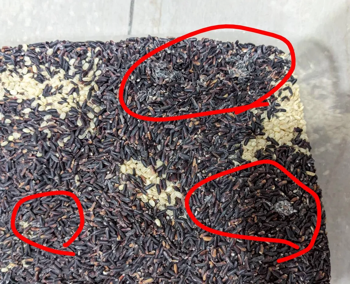 617280250 17921555322235167 988116246715610474 n