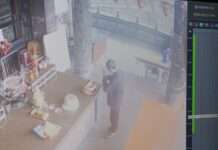 【有片】龜山女參拜聯名蛋糕供品慘遭竊 香客偷前竟還「請示神明」