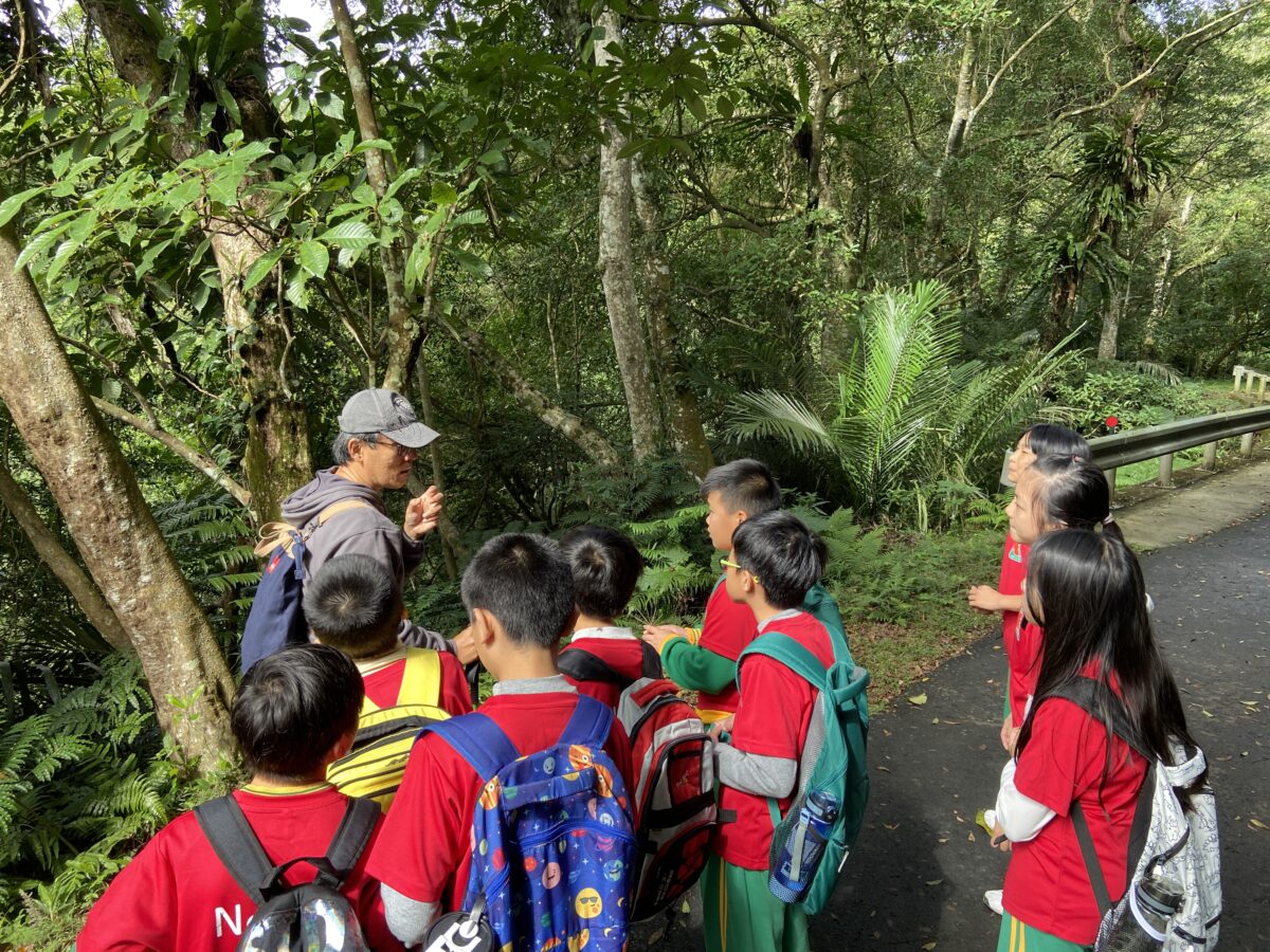 走讀百吉林蔭步道 內柵國小綠讀山水課程扎根環境教育 713468 0