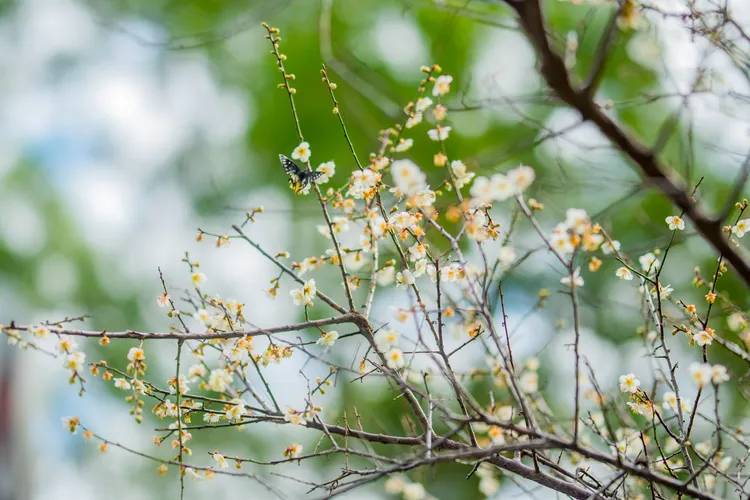 7bdef2a4d6d9e3f0d8015316c1e36792 750