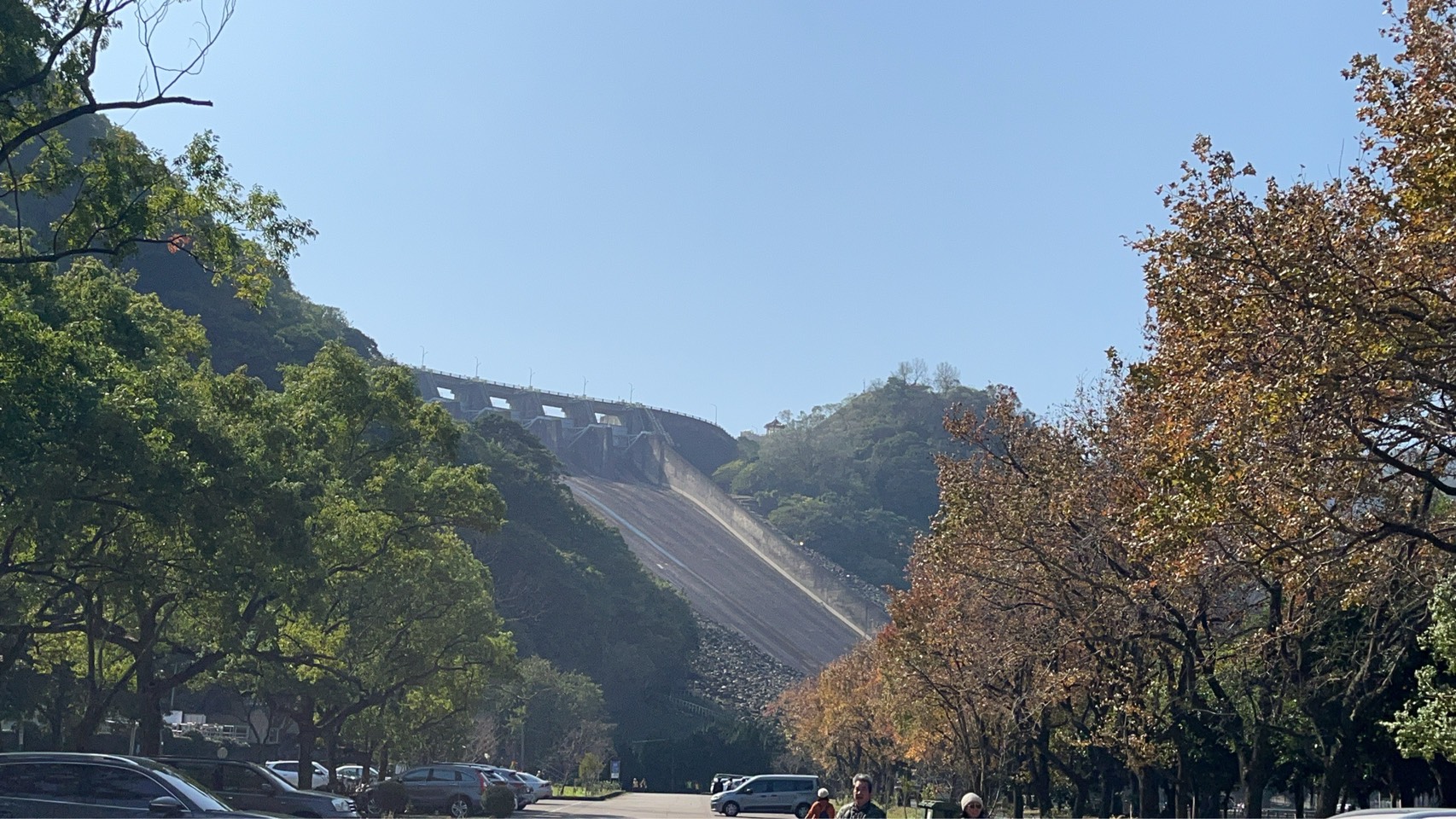 桃園石門水庫賞楓葉、梅花攻略 最佳觀賞地點報你知 S 26050603 0