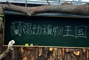 揮別簡體字風波!宜蘭這園區推出「世界蟑螂特展」 網友嚇瘋倒彈