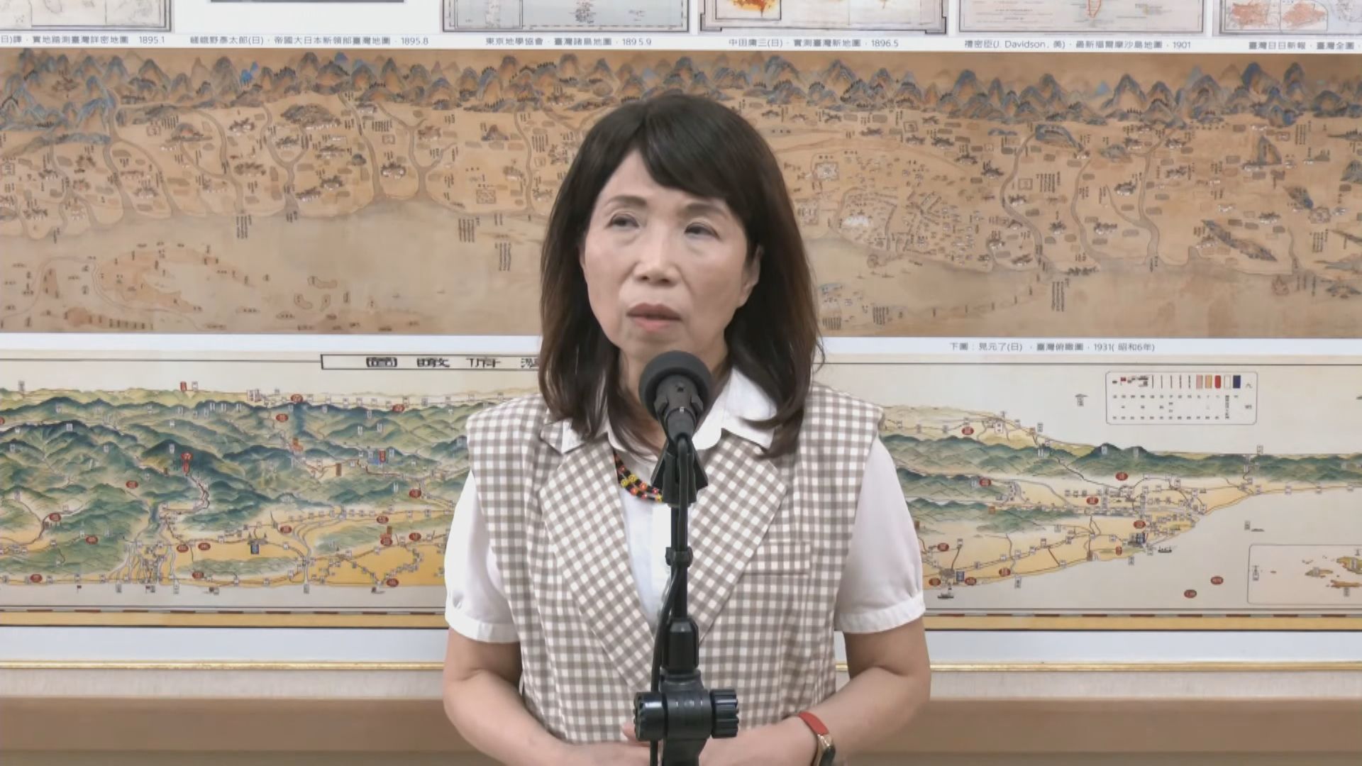 立院今審人工生殖法 陳昭姿喊話綠營:勿再阻擋代孕法制化