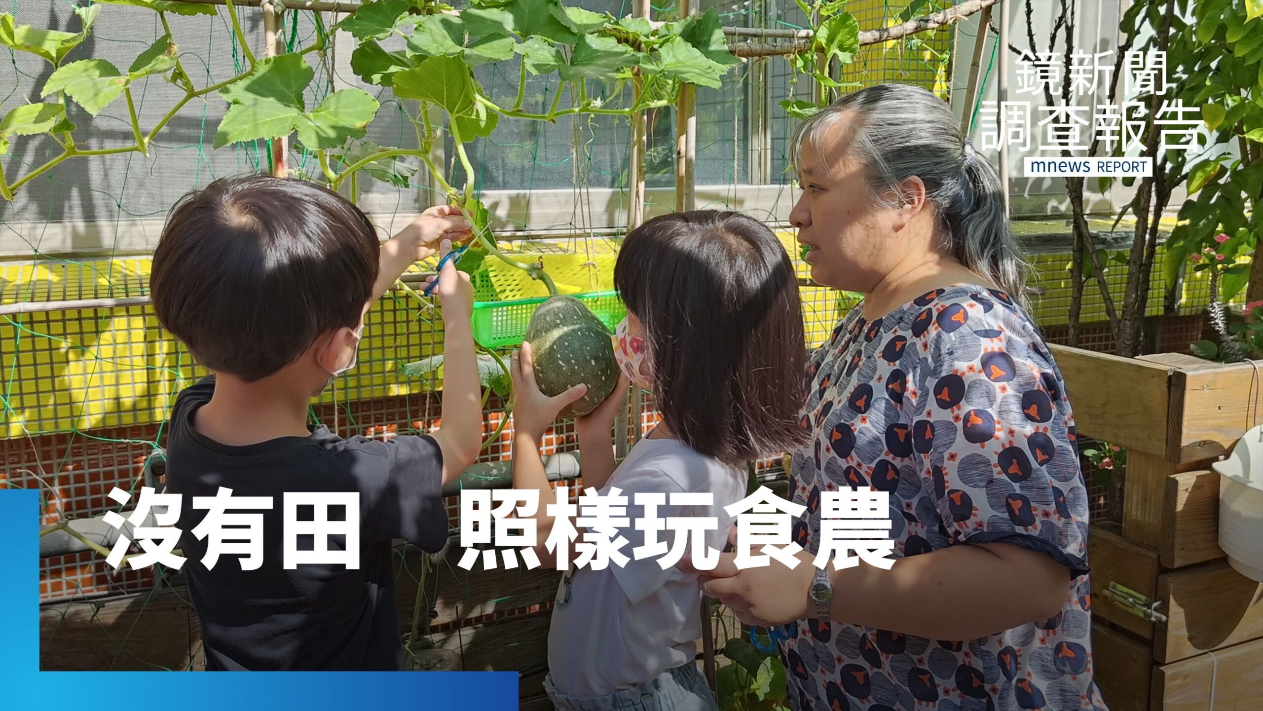 在都市種下食農希望 讓孩子從生活中學習永續|我的課表是一畝田