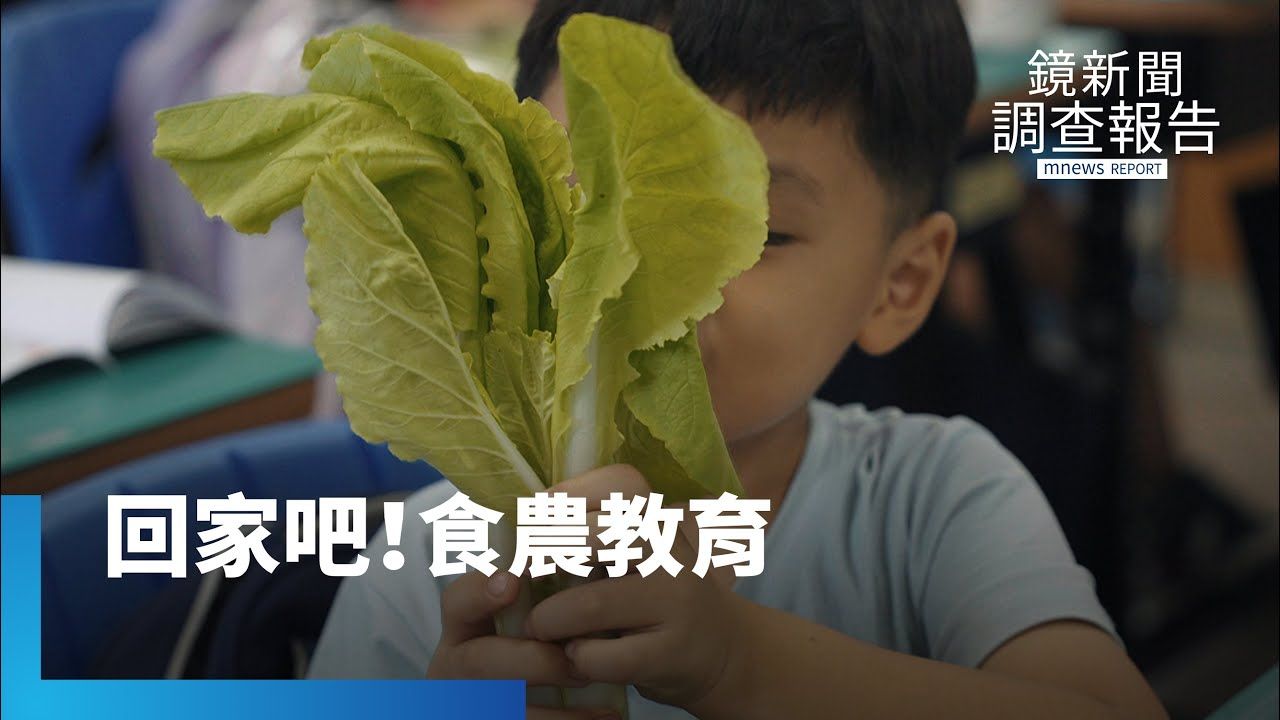 食農教育易淪「一次性體驗」? 走入家庭才是真正永續