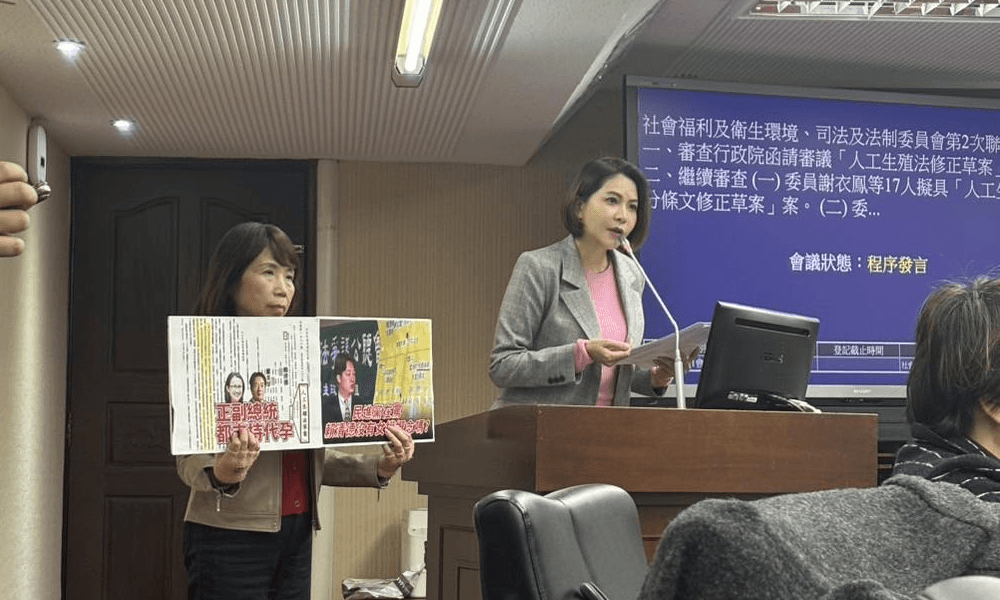 林淑芬槓「陳九條」代孕草率 陳昭姿舉牌回嗆:正副總統都支持